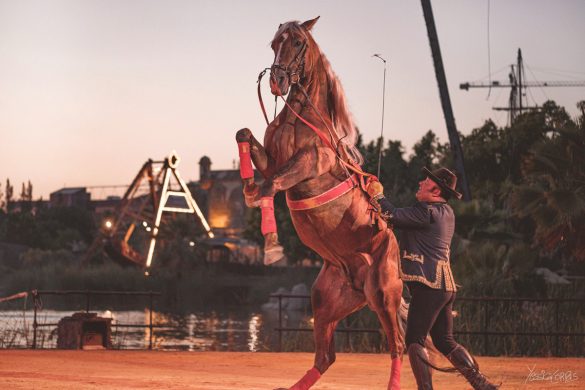 Arte de Andalucía a caballo, Arroyo de la Encomienda