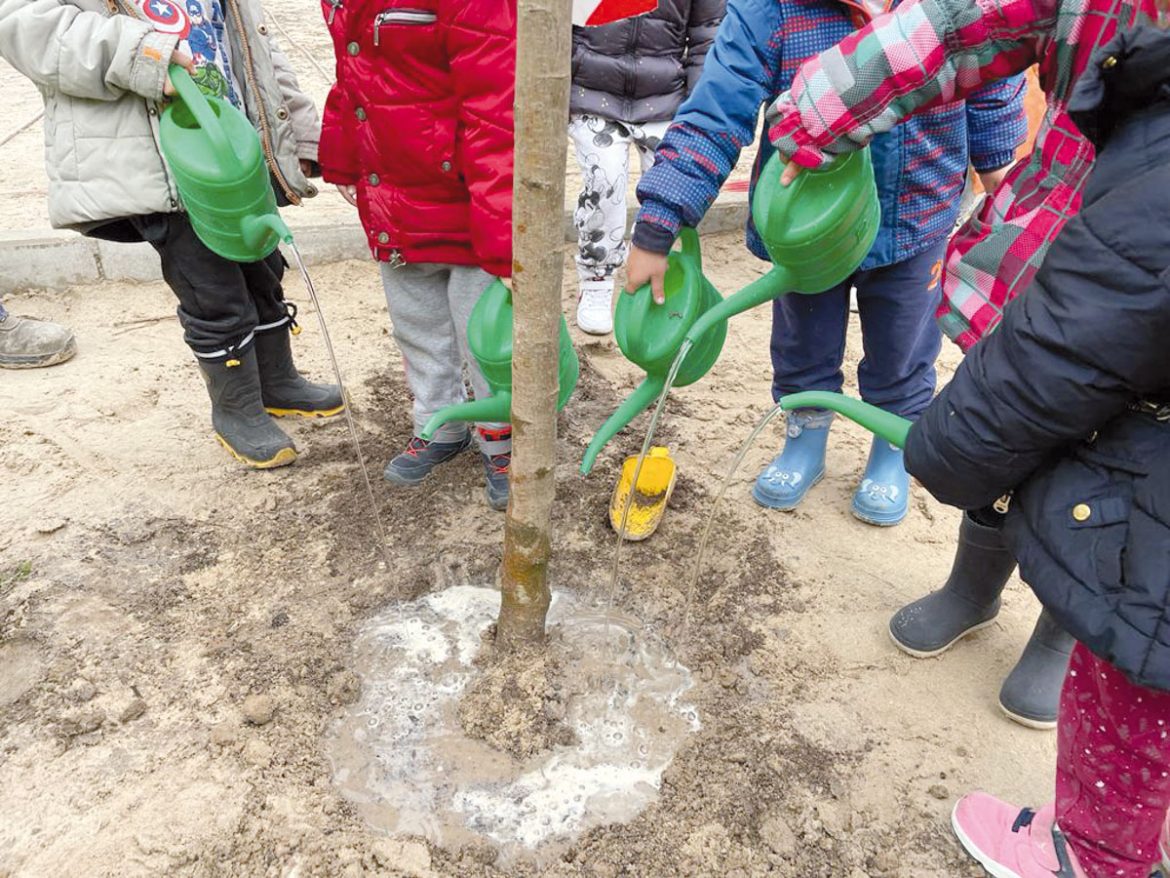 semana arbol atenea processed-5333f4ac-e733-4d58-93e7-5620a40261e0_eOPgww7j