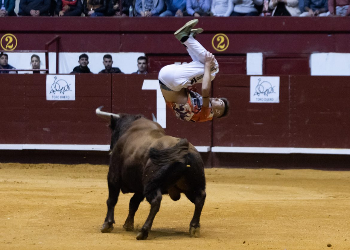 El cuellarano Cristian Rubio realiza un salto sobre uno de los astados. J. C. CASTILLO