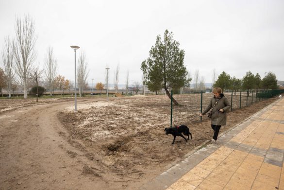 Una mujer pasea a su perro frente a las obras del parque canino. J. C. CASTILLO