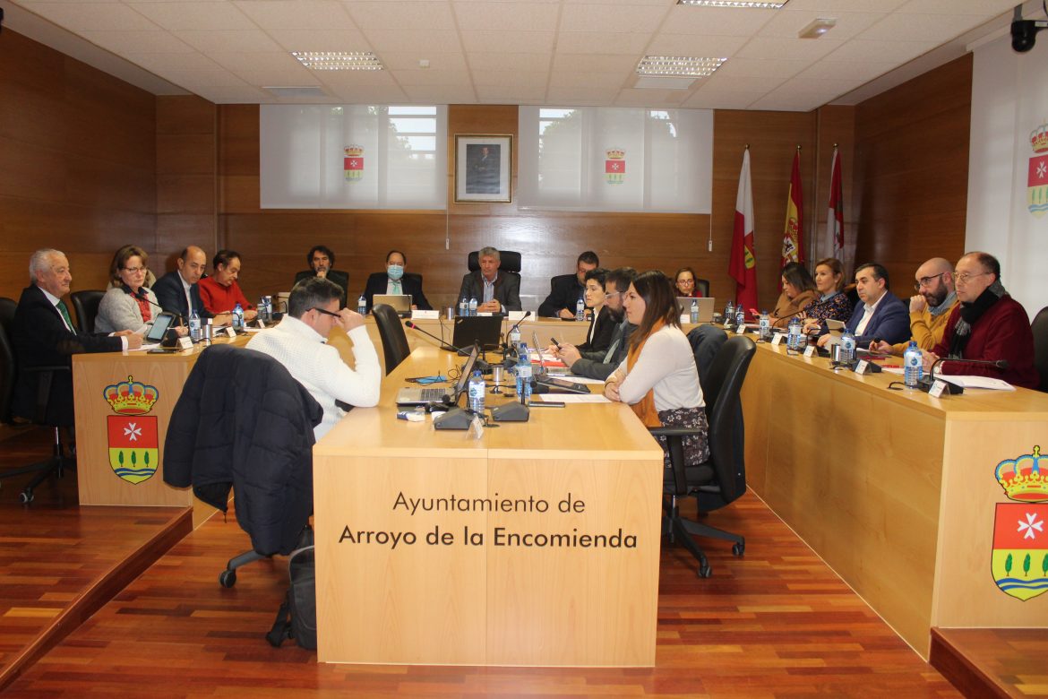 Pleno del Ayuntamiento. ENA