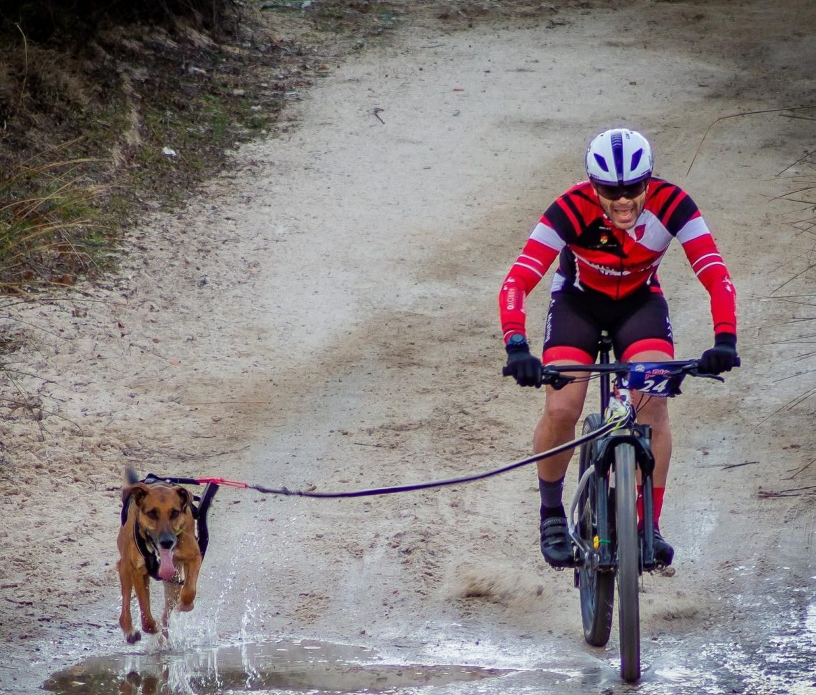 Susi y Kobe en la Copa de España de Mushing celebrado en la localidad madrileña de Villamanta. ENA