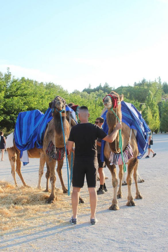 Imagen de archivo del Mercado Medieval celebrado el año pasado. ENA