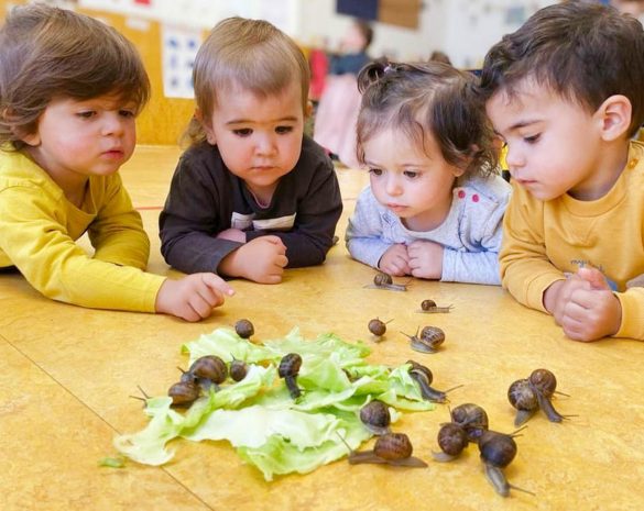 Las escuelas infantiles disponen de proyectos educativos adaptados a su edad. ENA