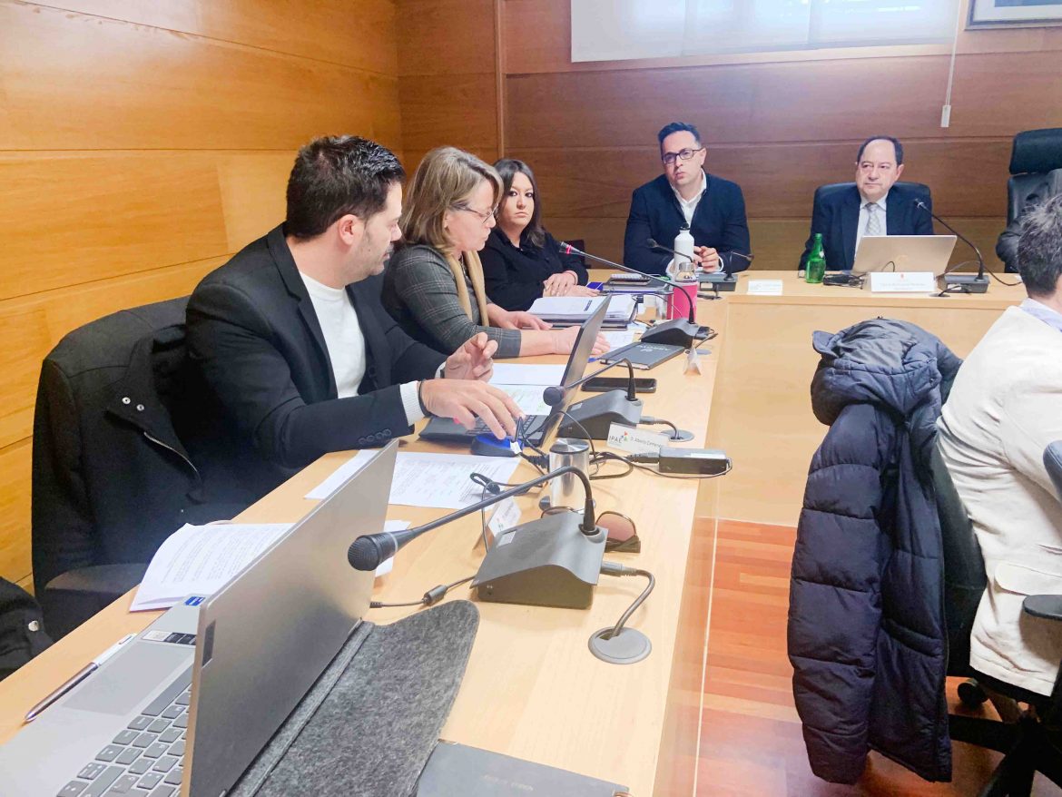 La concejal de Hacienda durante la presentación de los presupuestos en el Pleno. ENA