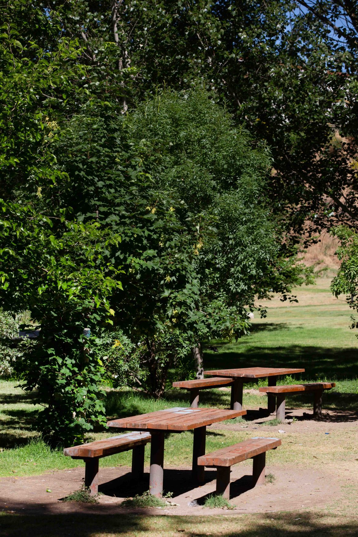 Los vecinos pueden avisar del vandalismo y deterioro del mobiliario urbano a través de Whatsapp. ENA