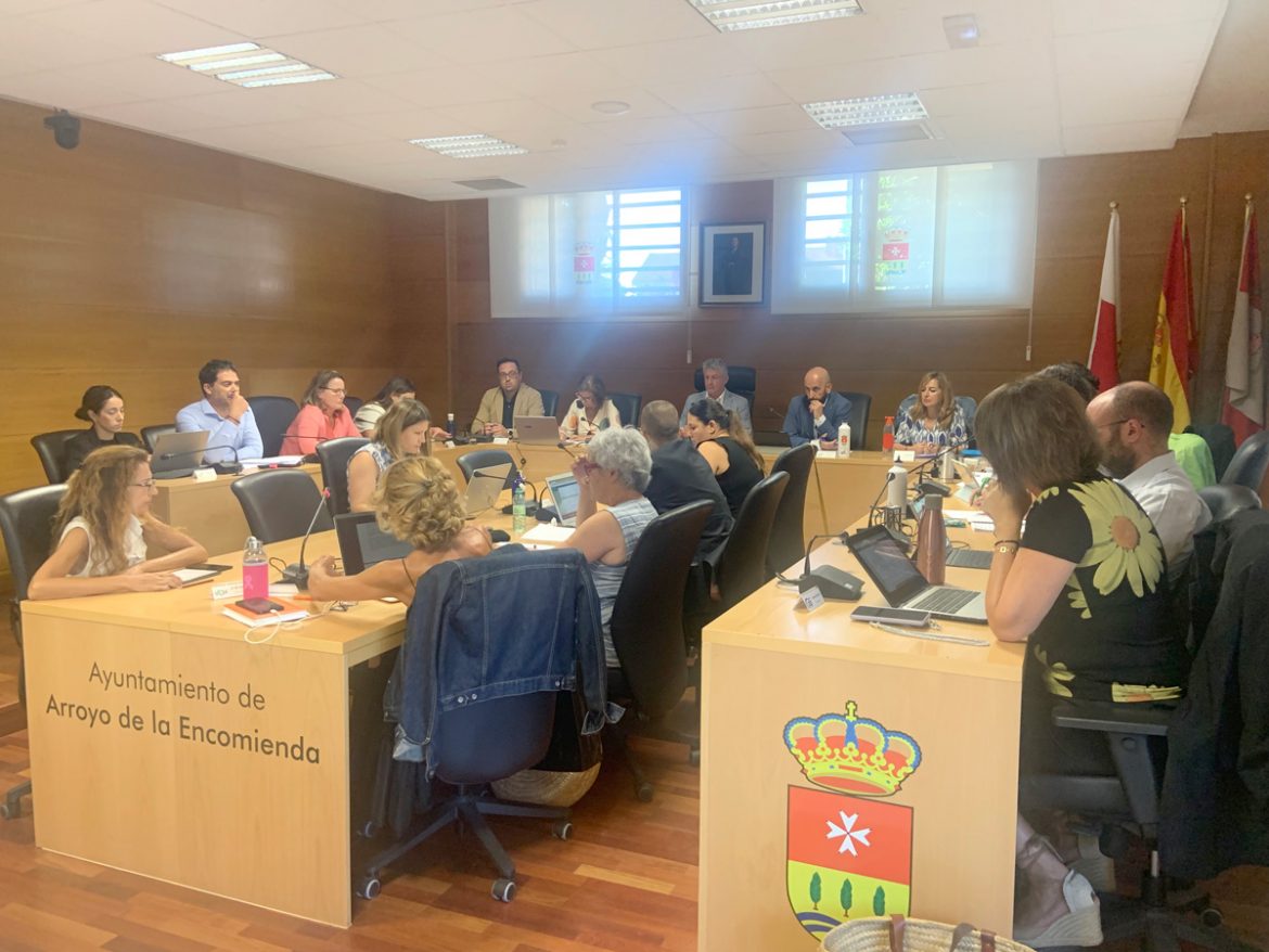 Imagen del Pleno celebrado el pasado 4 de septiembre. ENA