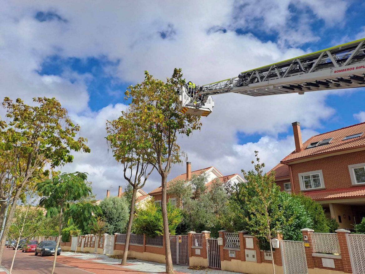 Intervención de los bomberos a causa de Kirk en Arroyo