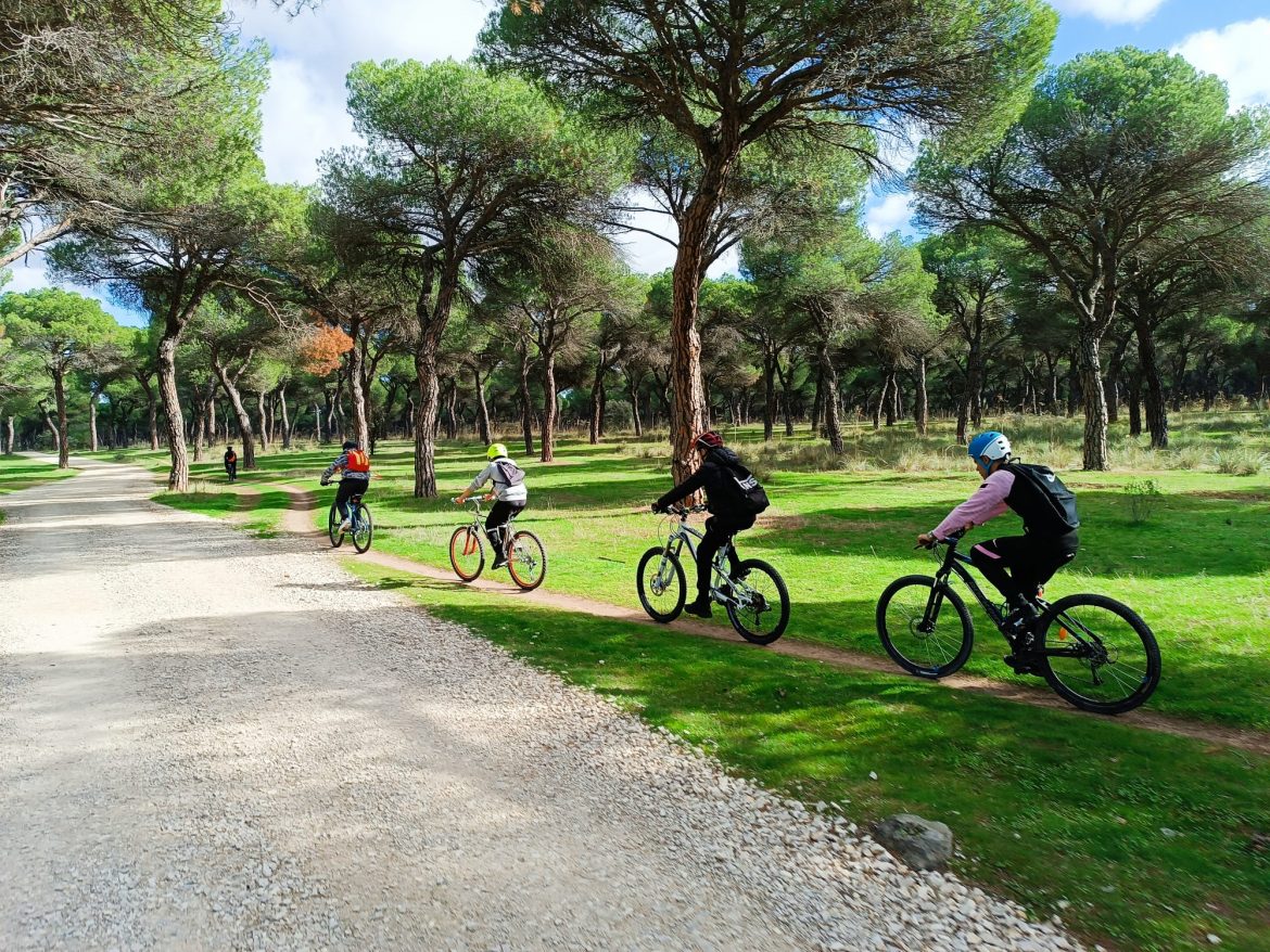 Un grupo de alumnos durante la primera salida realizada al Pinar de Antequera. ENA