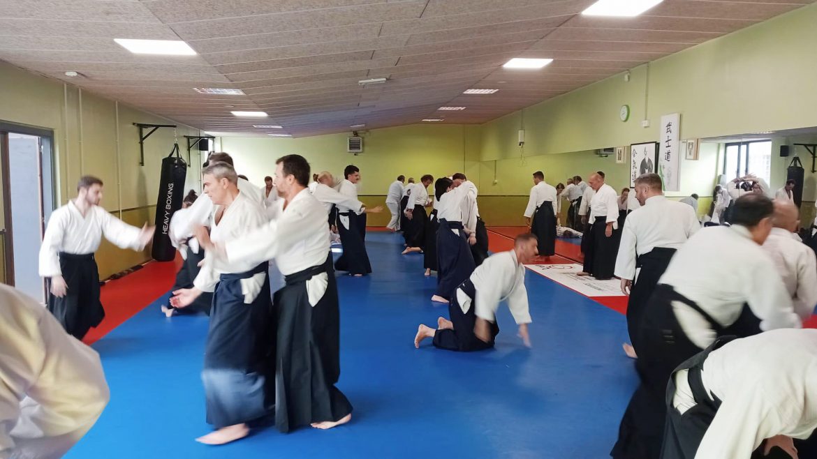 Practicantes de Aikido en el Multiusos de La Vega. ENA