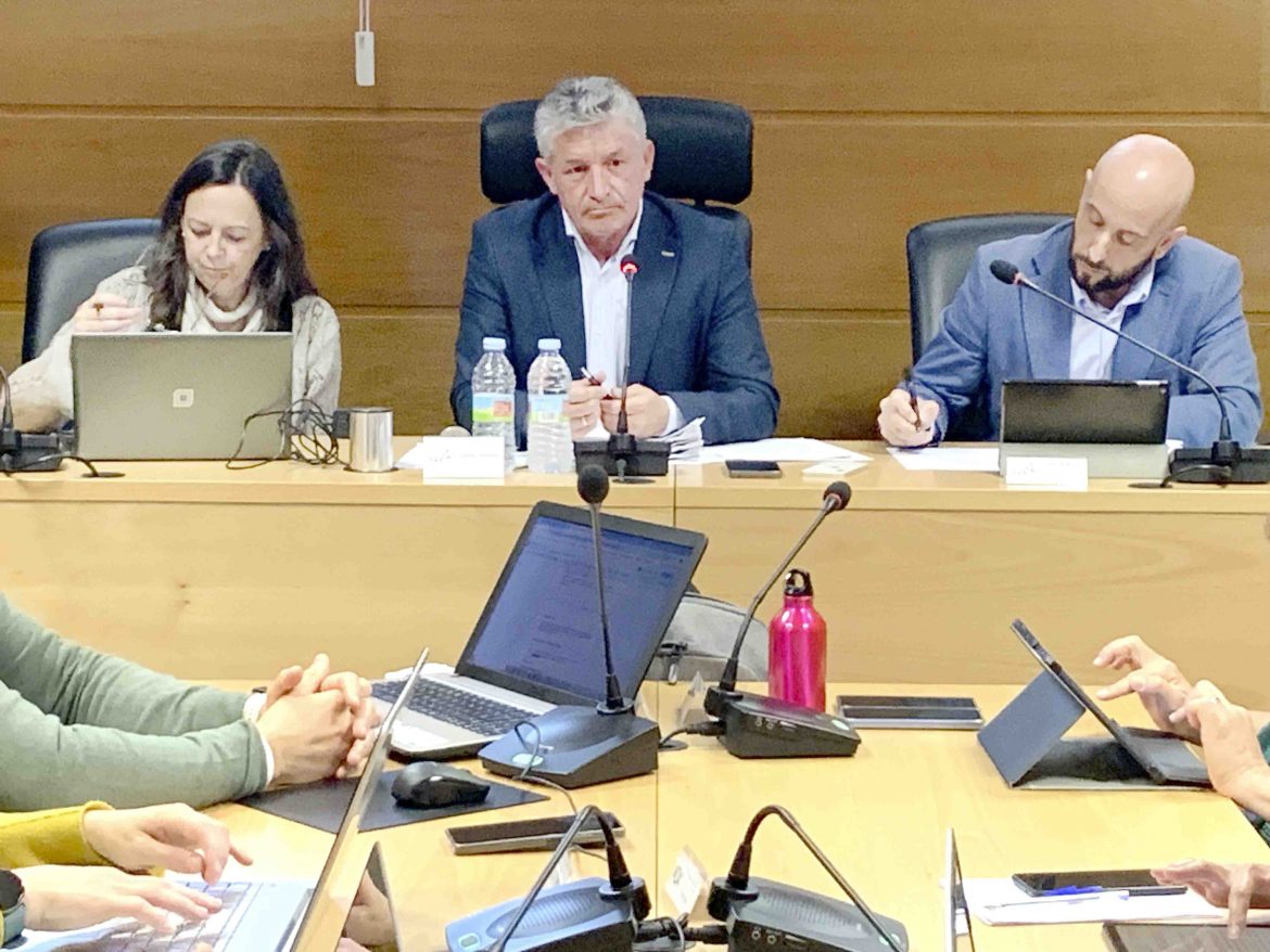 El alcalde de Arroyo de la Encomienda, Sarbelio Fernández, en el Pleno de abril