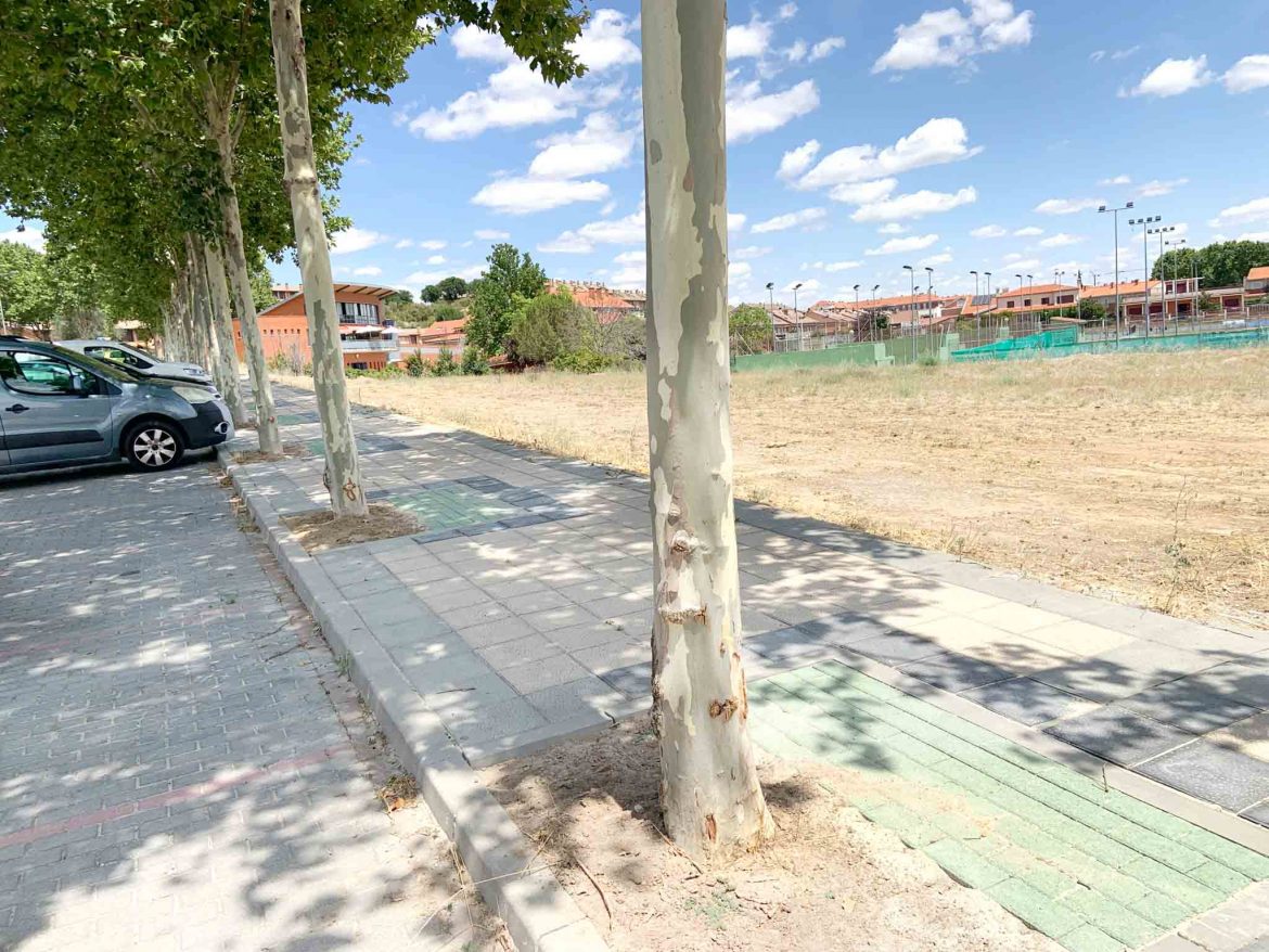 Detalle del alcorque reparado, con un adoquín drenante. ENA