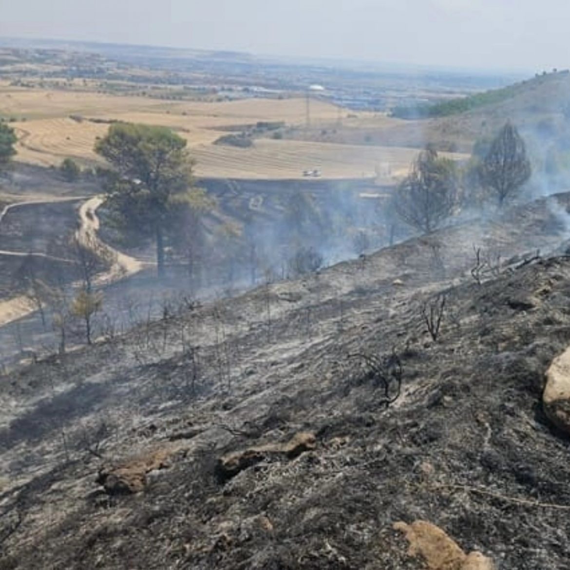 Zona afectada tras el paso de las llamas. ENA