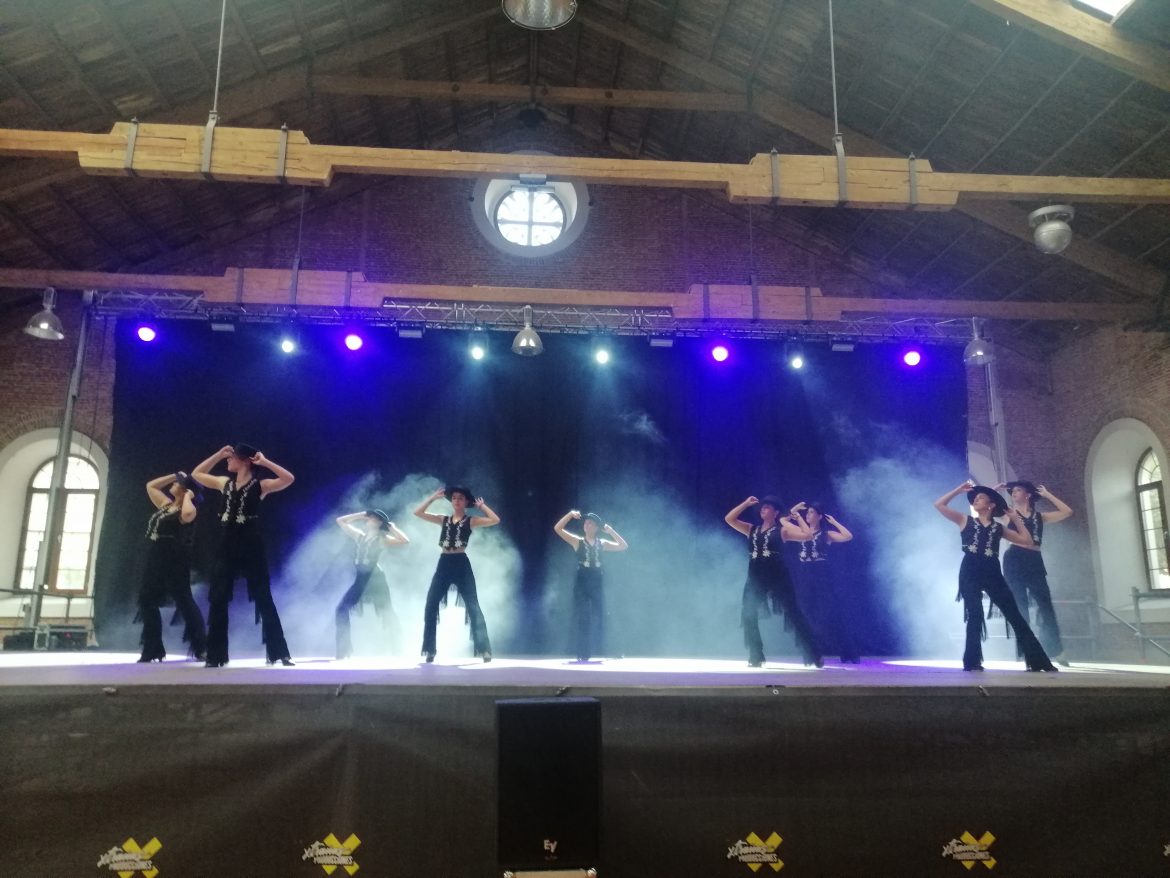 El Joven Ballet de Arroyo durante su actuación. ENA