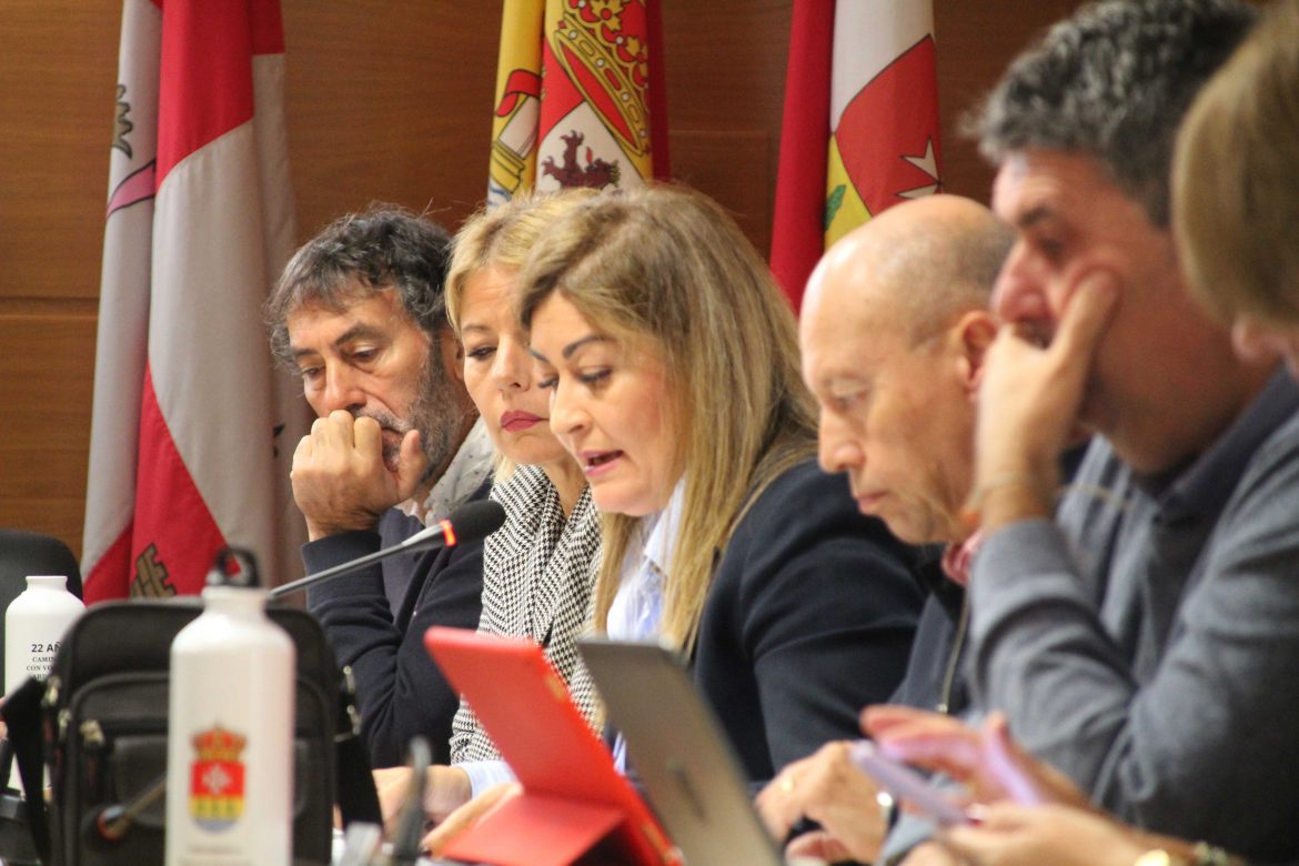 Marta Sanz, portavoz del Grupo Popular durante su intervención. ENA
