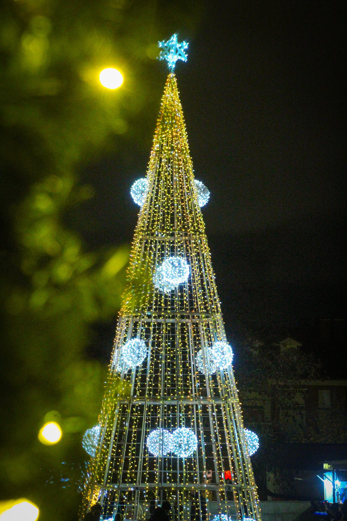 Árbol de Navidad situado en la Plaza Mayor. ENA