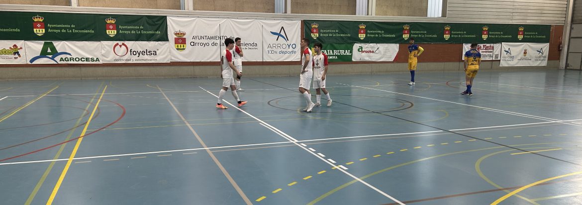 El Unión Arroyo F.S. en su partido frente al Villaquilambre. ENA