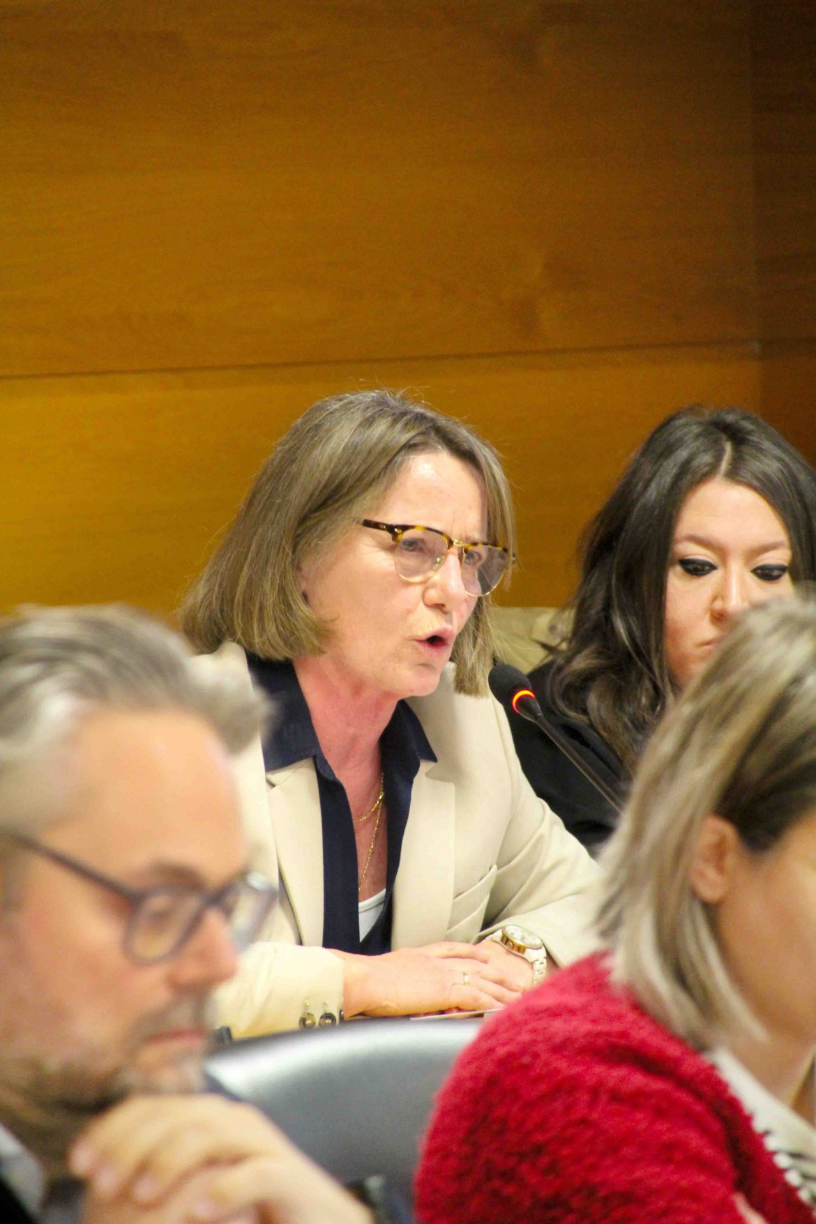 Ángeles Retamero, concejala de Hacienda durante su intervención. ENA