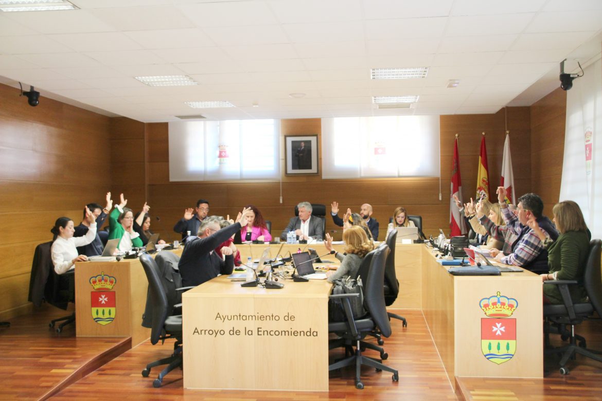 El Pleno durante una de las votaciones. ENA