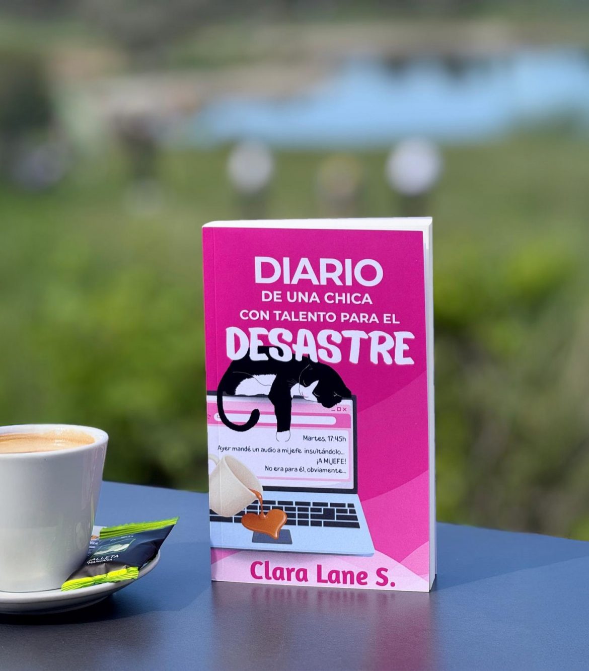 ‘Diario de una chica con talento para el desastre’. ENA