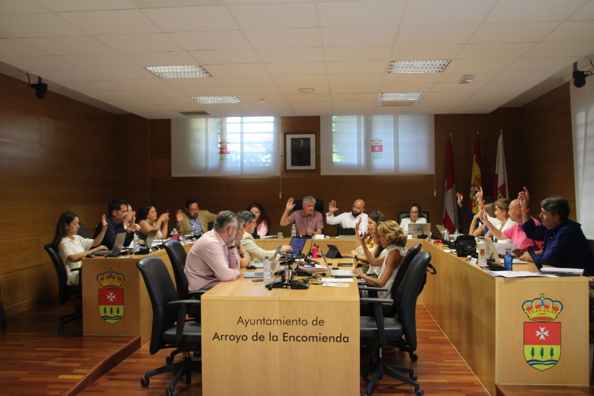 El pleno durante una votación. ENA