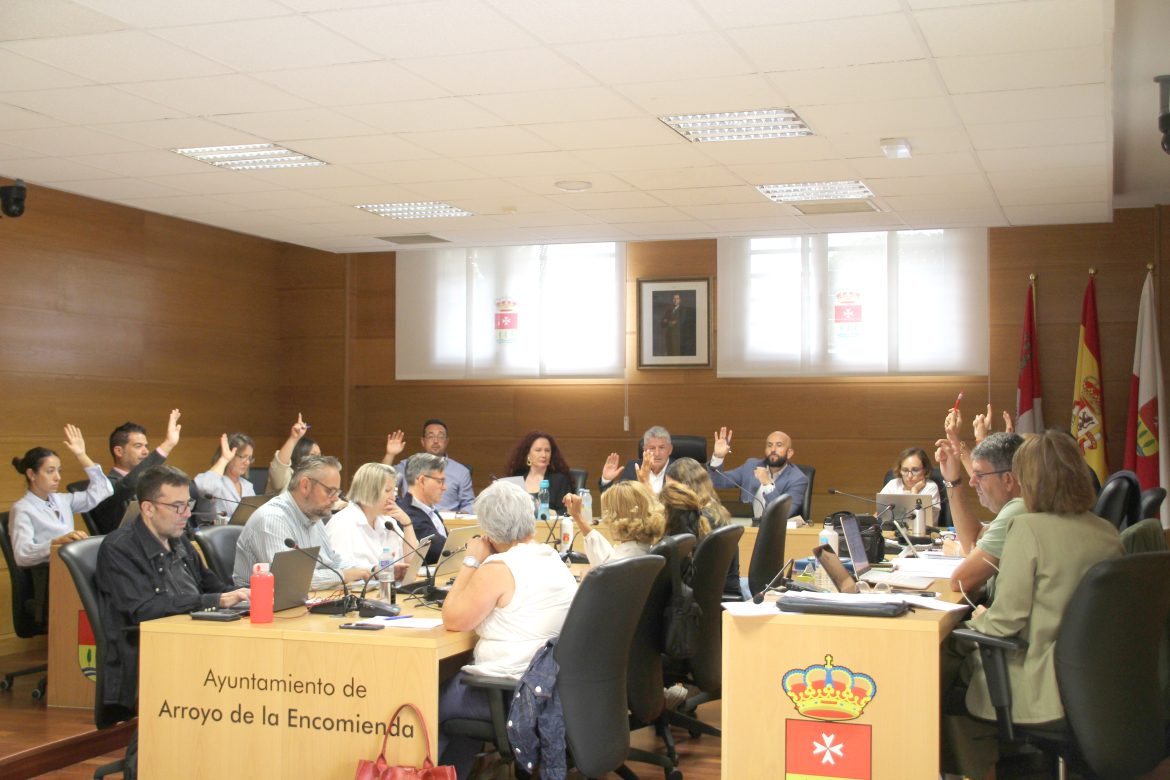 El Pleno durante una de las votaciones. ENA
